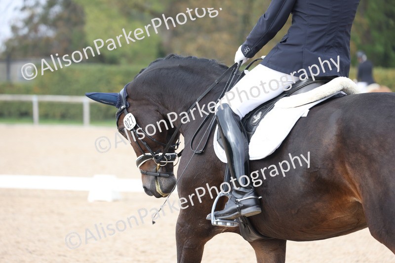 20251012-0834 - Class 10 - Advanced Medium 4