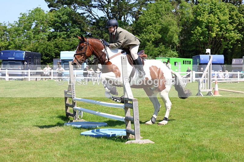 3E7A6874 - Class 30: Novice Working Hunter