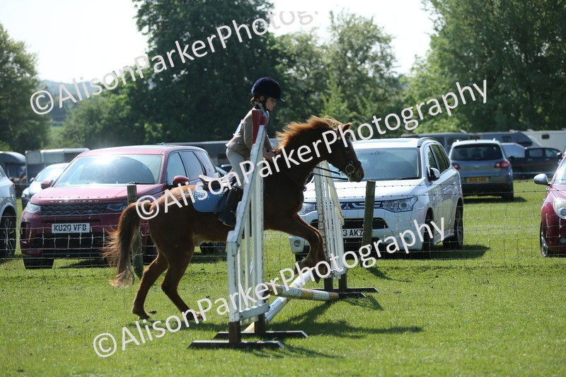 20250427-1936 - Class 2 - Mini Jumping 30cm