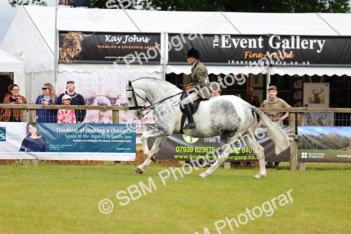 SBM_02527 - Class 9-11 Side Saddle including LIHS Rising Star Ladies Show Horse