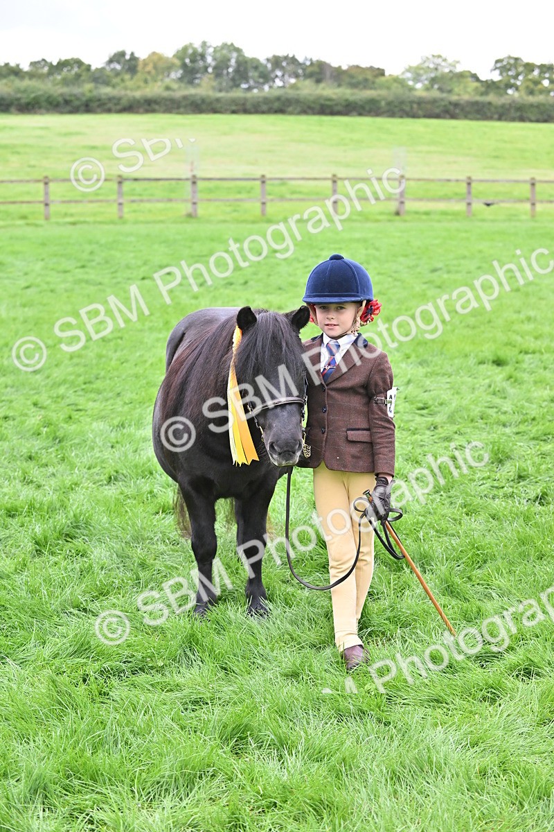 SBM_61056 - S48 - Mountain & Moorland In Hand Small Breeds