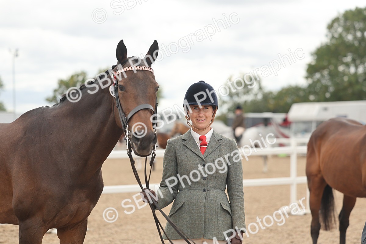 SBM_17088 - Class 313 - IH Retired Racehorse