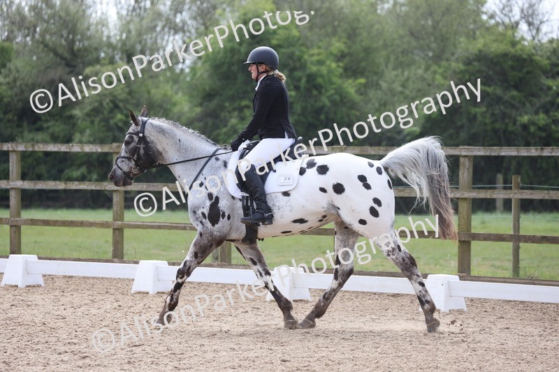 20250424-0741 - Class 5 - Novice 3