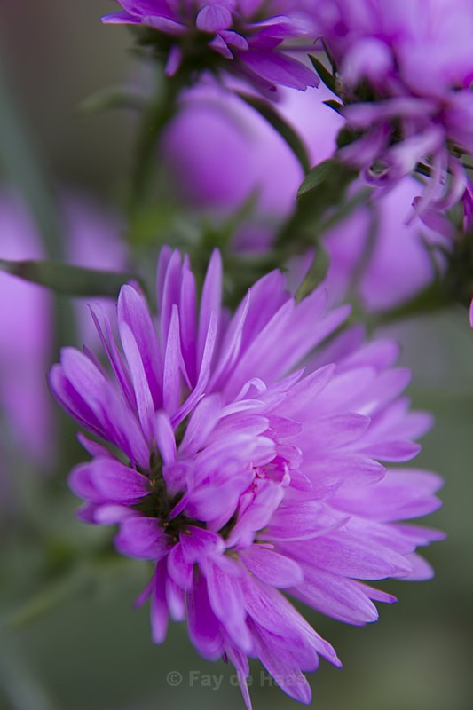  - Nature's Wonders