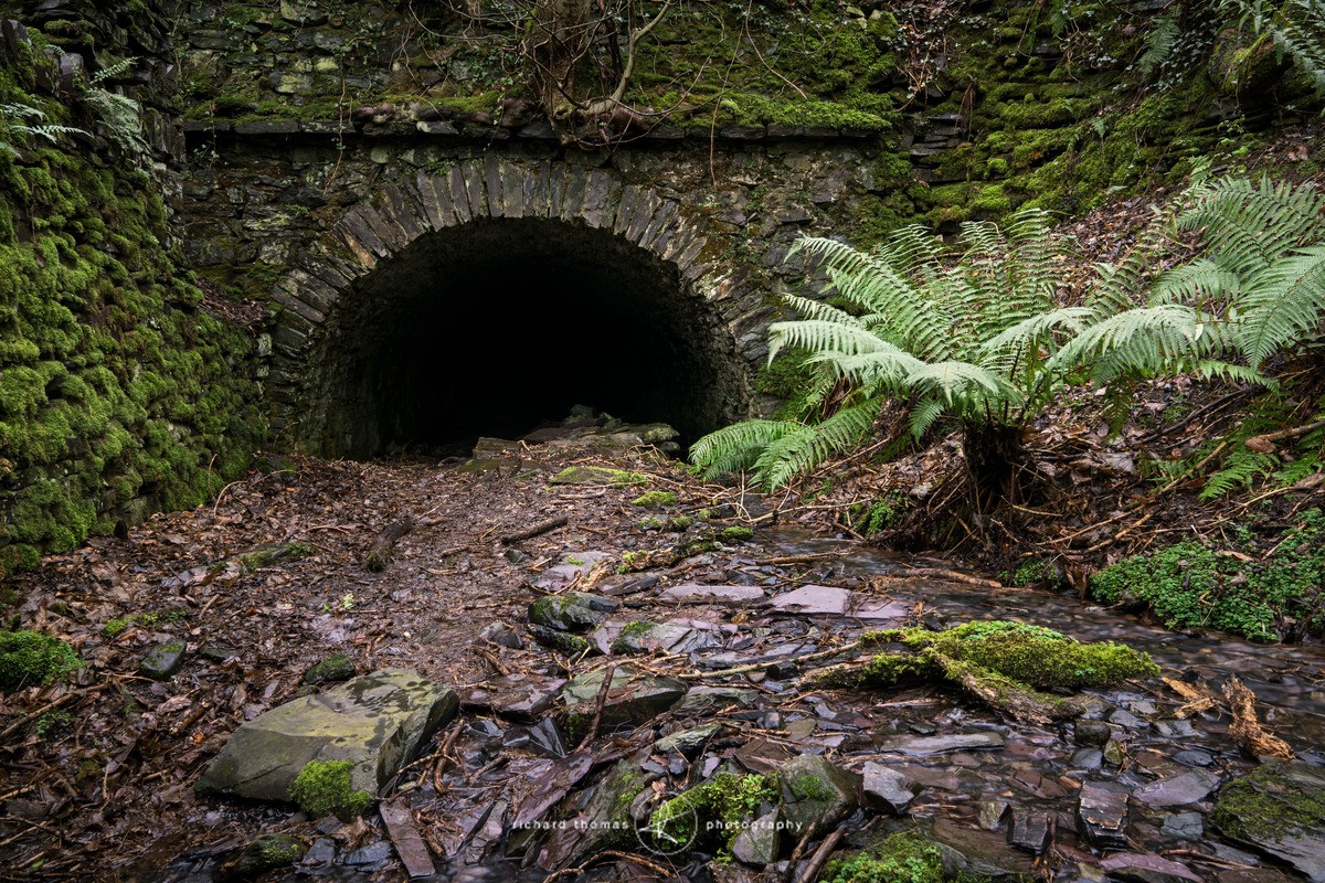 Low entry - Quarry