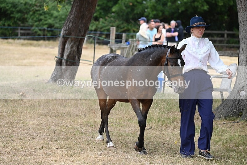 WJ6_7964 - Class 10 Coloured in Hand