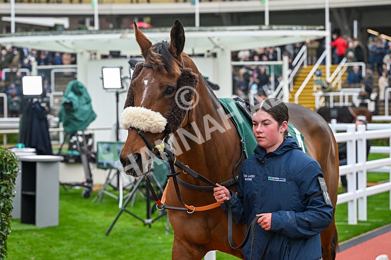 151125-Race 2-Imperial Alex-2599 - Race 2