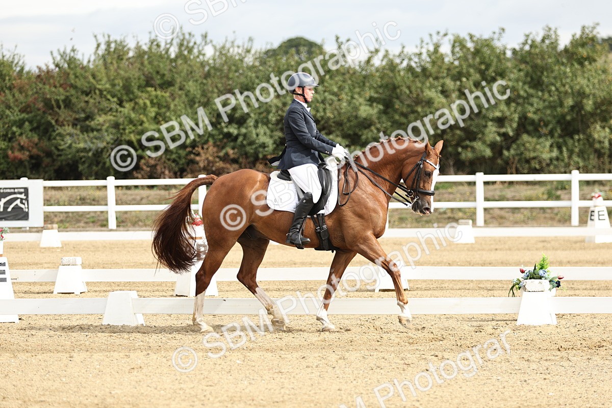 SBM_006869 - Class 21 - Medium 5 Bronze - 10.04-10.52