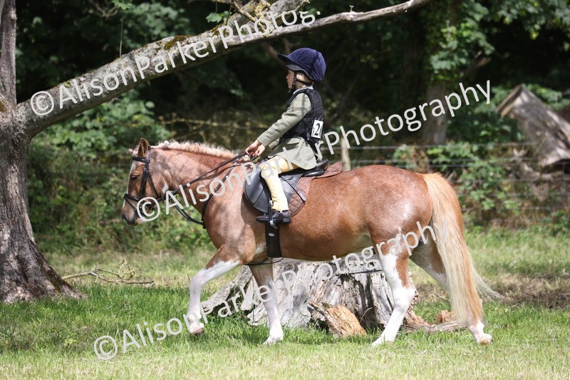 20260614-2135 - Class 21 - Novice Working Hunter Pony