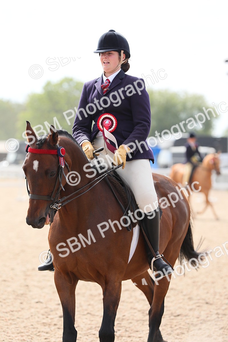 SBM_15627 - Class 311 Ridden Show Pony/ Show Hunter Pony