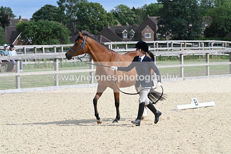 WJ7_8258 - Time 16:10 to 16:25