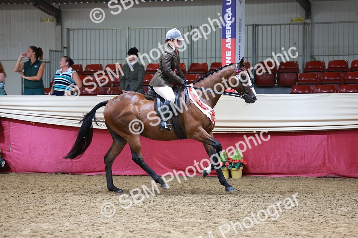 SBM_14996 - Class 108 - Ridden Retired Racehorse