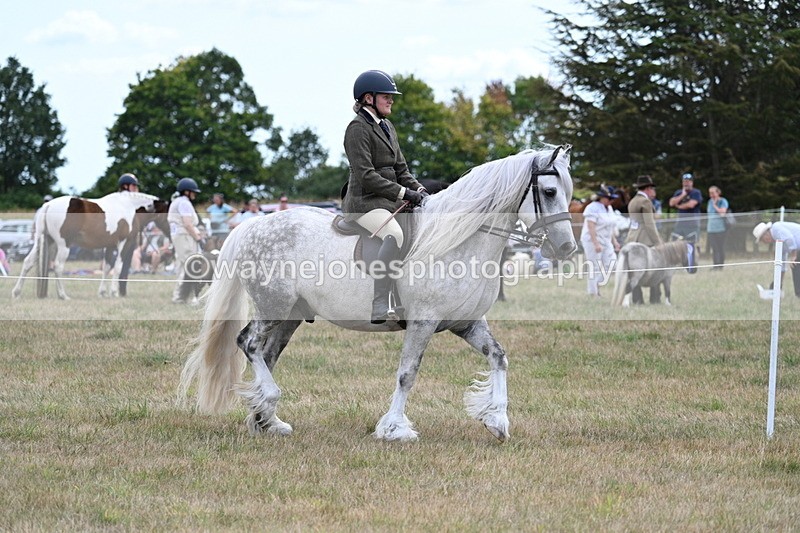 WJ7_4681 - Class 12 Ridden Cob