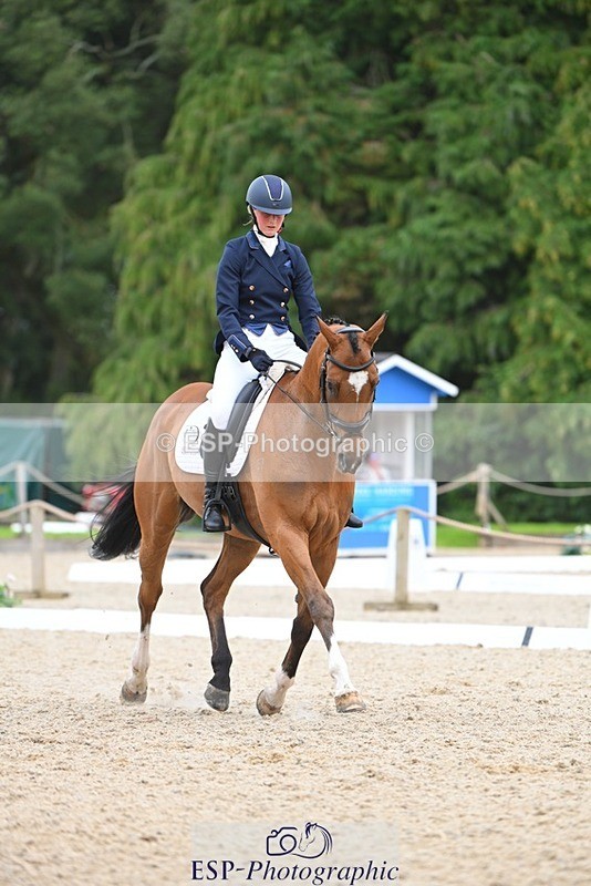 230813-132940-07584 - Cls 13 Medium Bronze 13.15 to End