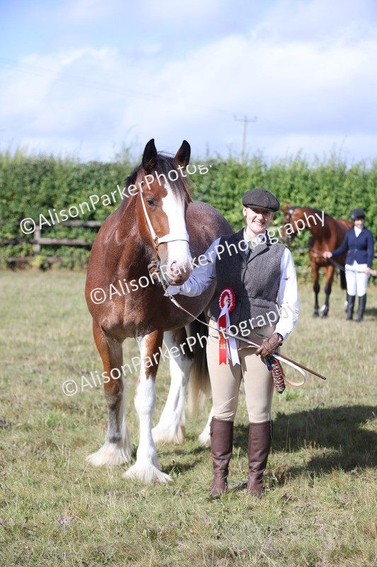 20250831-1530 - Class 21 - Inhand Open