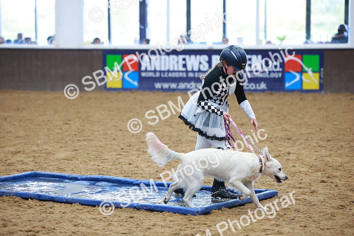 SBM_001679 - Class 3 - Horse & Hound (60cm)