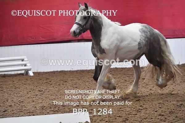 BPP_1284 - MORNING 9AM - 12PM