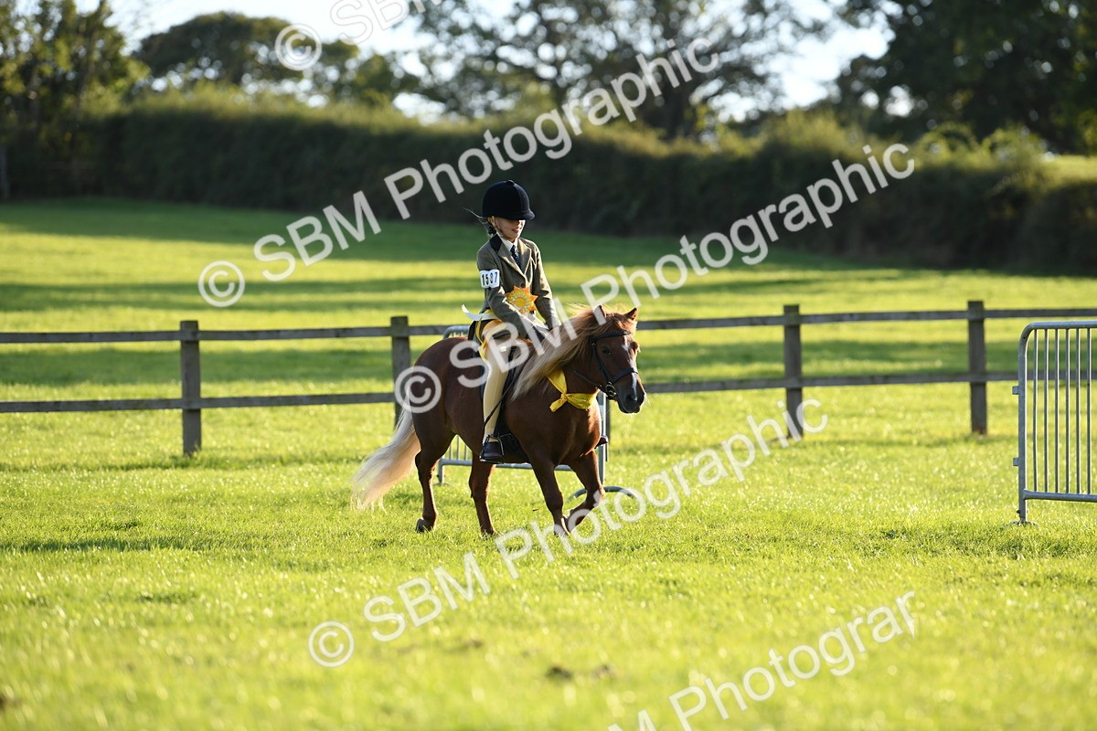 SBM_54192 - S23 - 1st Ridden Mountain & Moorland Pony