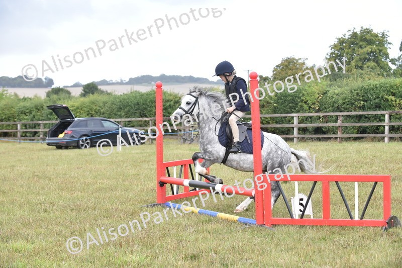 20250831-1844 - Class 9 - Absolute Novice 45cm