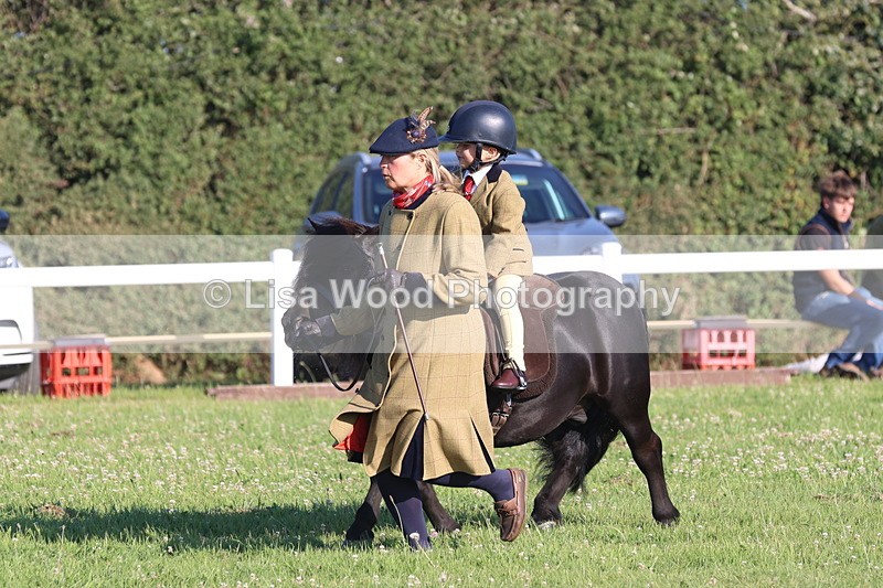 JPP_0810 - Class 16: Cornish Combination Leading Rein