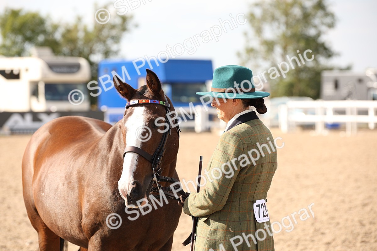 SBM_07434 - Class 26 IH Foreign Breeds -Part bred