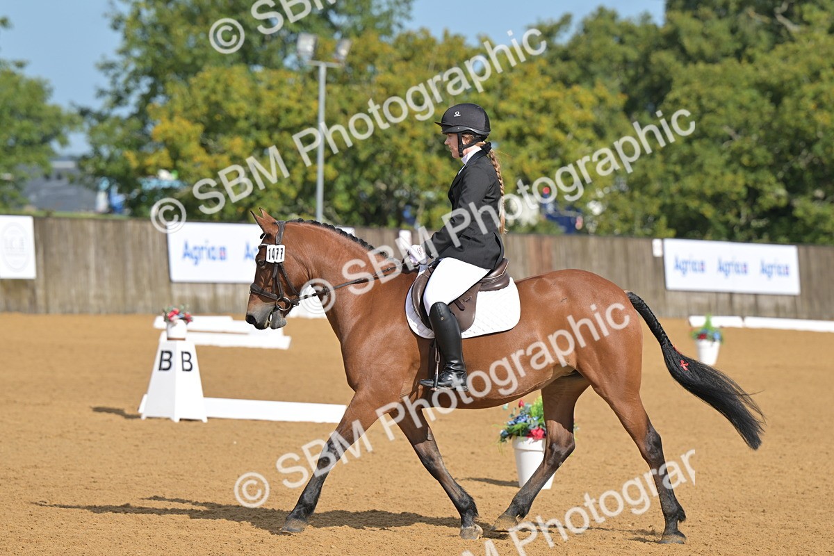 SBM_03684 - D2 - Small Tour Championship Intro 2