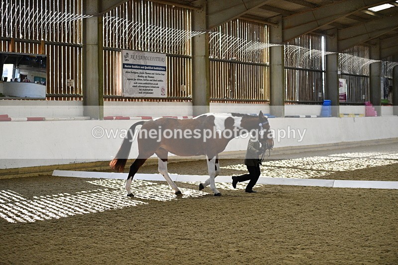 WJ5_3836 - Class 5 In Hand Veterans