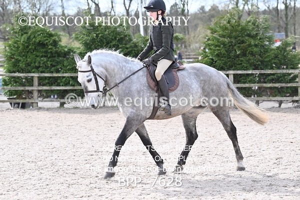 BPP_7628 - RING 1  (RIDDEN HORSES / IN HAND / VETERAN ETC)