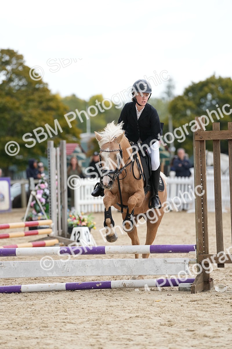 SBM_19638 - J49 - Open 50cm