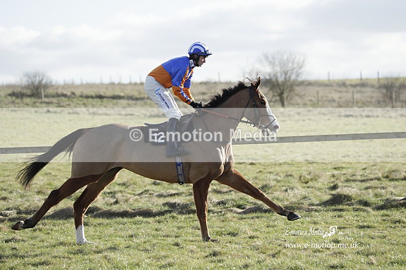 PtP 260223 1114 - South & West Wilts Point-to-Point Larkhill 26/02/23