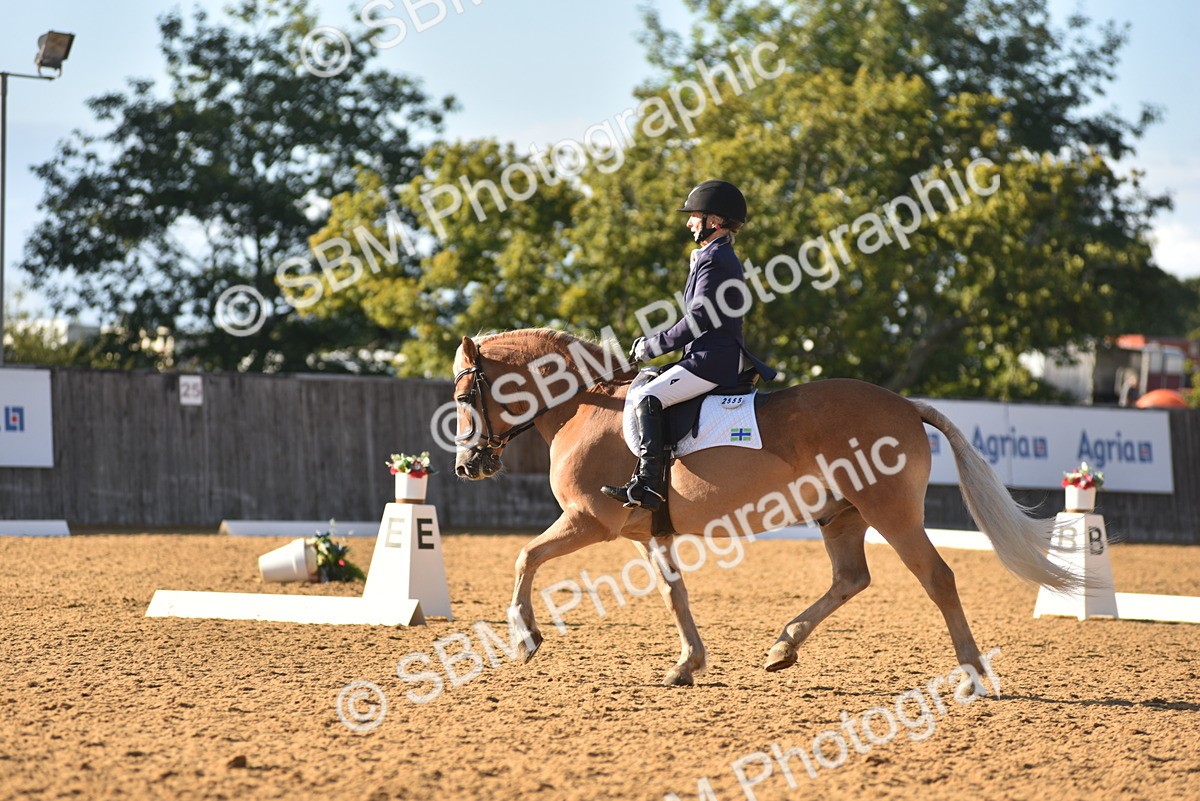 SBM_11402 - D28 - Elementary