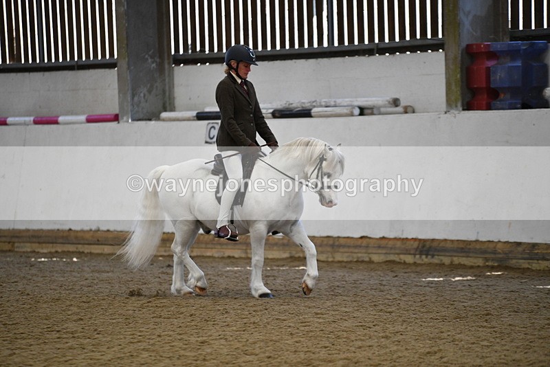 WJ5_5954 - Class 9 Ridden Veteran