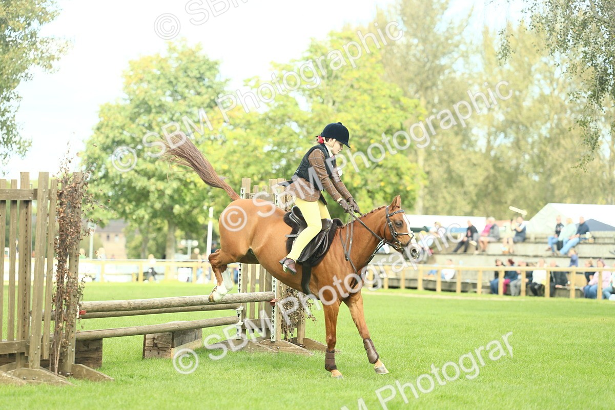 SBM_44634 - S31 - Working Hunter Pony