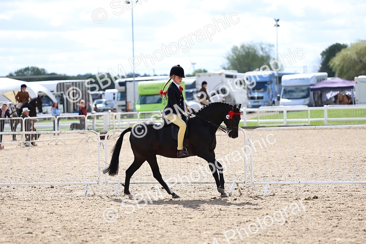 SBM_13271 - Class 311 - Ridden Show Pony Show Hunter Pony