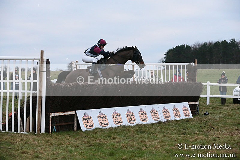 PtP 060119 586 - Larkhill Racing Club - Point-to-Point- 06/01/2019