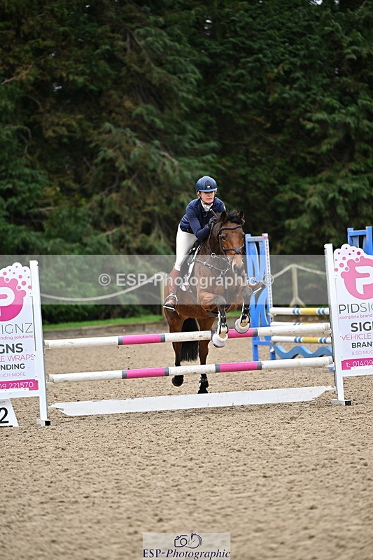 250201A-094255-00045 - Cls 01 Local Horse 90cm