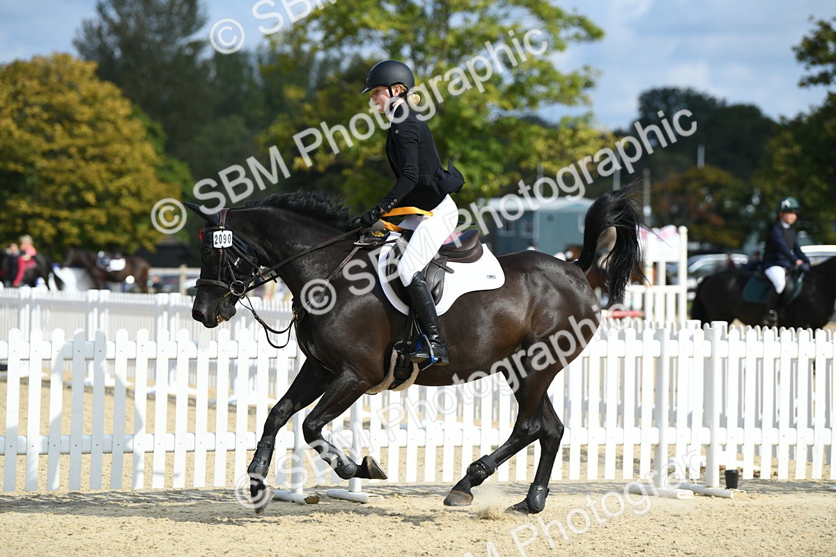 SBM_61830 - j25 - Junior Horse 80cm Championship