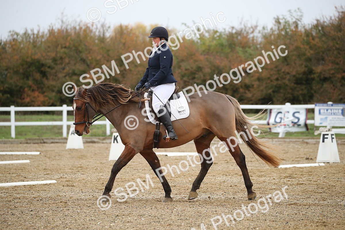 SBM_000499 - Intro 2