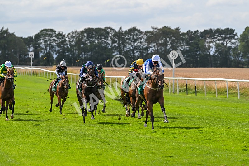 080825-Race 2-Daneh Of Dandy-1976 - Race 2