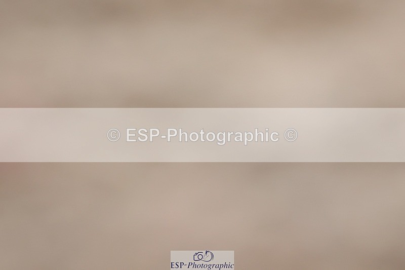 250622-123948-14899 - Cls 50 Elementary 5 Start to 13.10