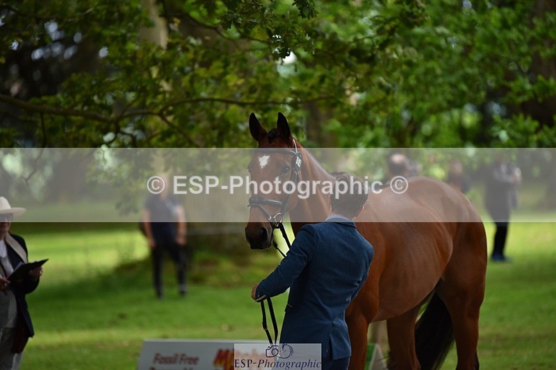 240522-150428-00072 - 364-LACHAIN_JACK-Tom_D_Crisp