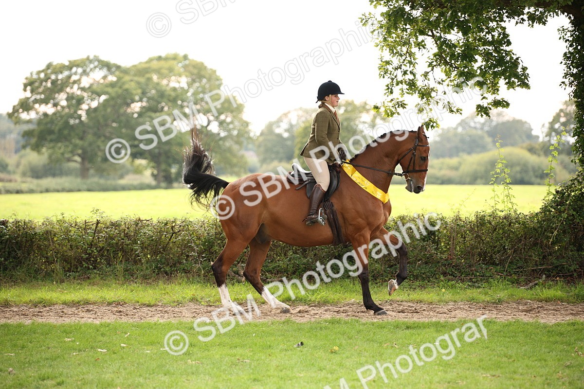 SBM_73631 - Ridden Horse Supreme Championship