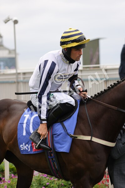 yr24072021r1-44 - Race 1 2.05pm Sky Bet Jump Jockeys Nunthorpe