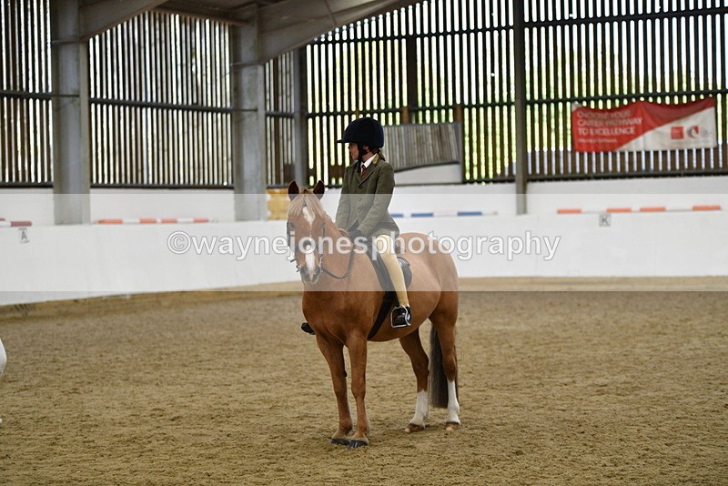 WJ5_6221 - Class 9 Ridden Veteran