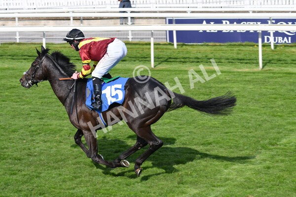 yr12052021r7-27 - Race 7 4.50 pm Conundrum HR Consulting Stakes