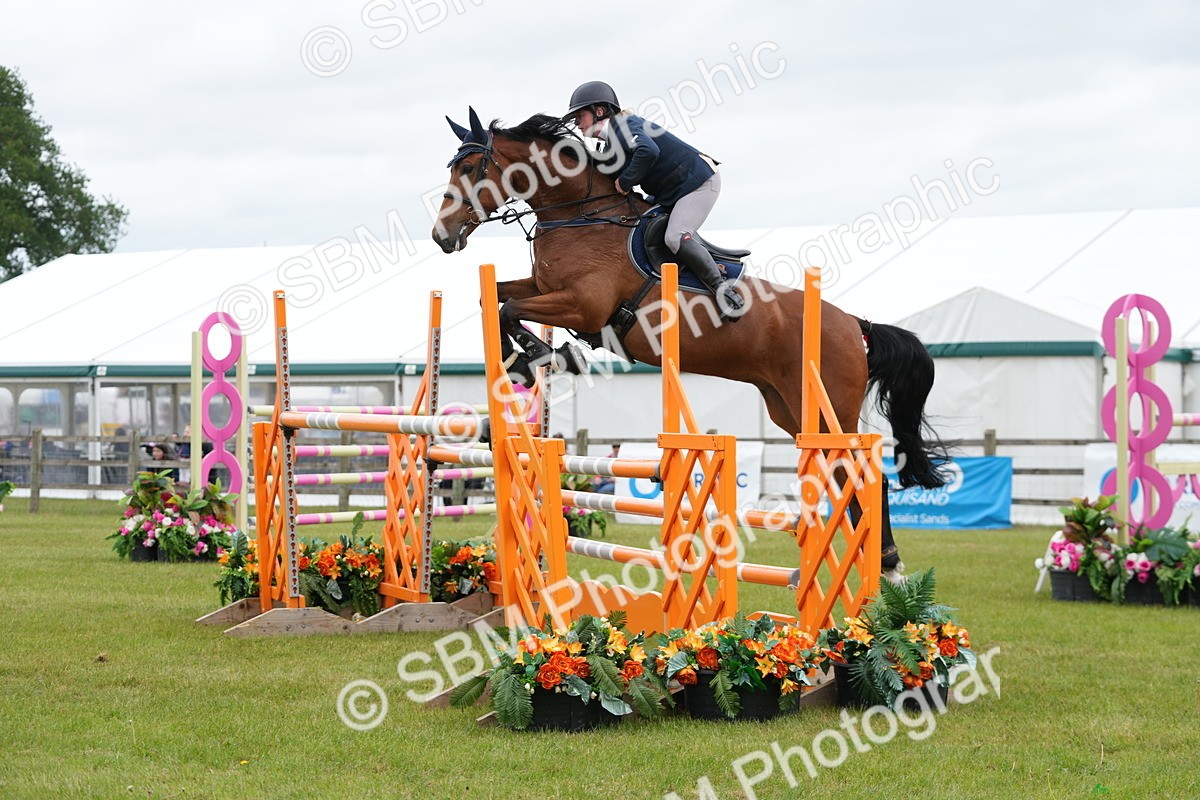 SBM_03168 - Class 201 - British Horse Feeds Speedi Beet Horse of the Year Show Grade  C