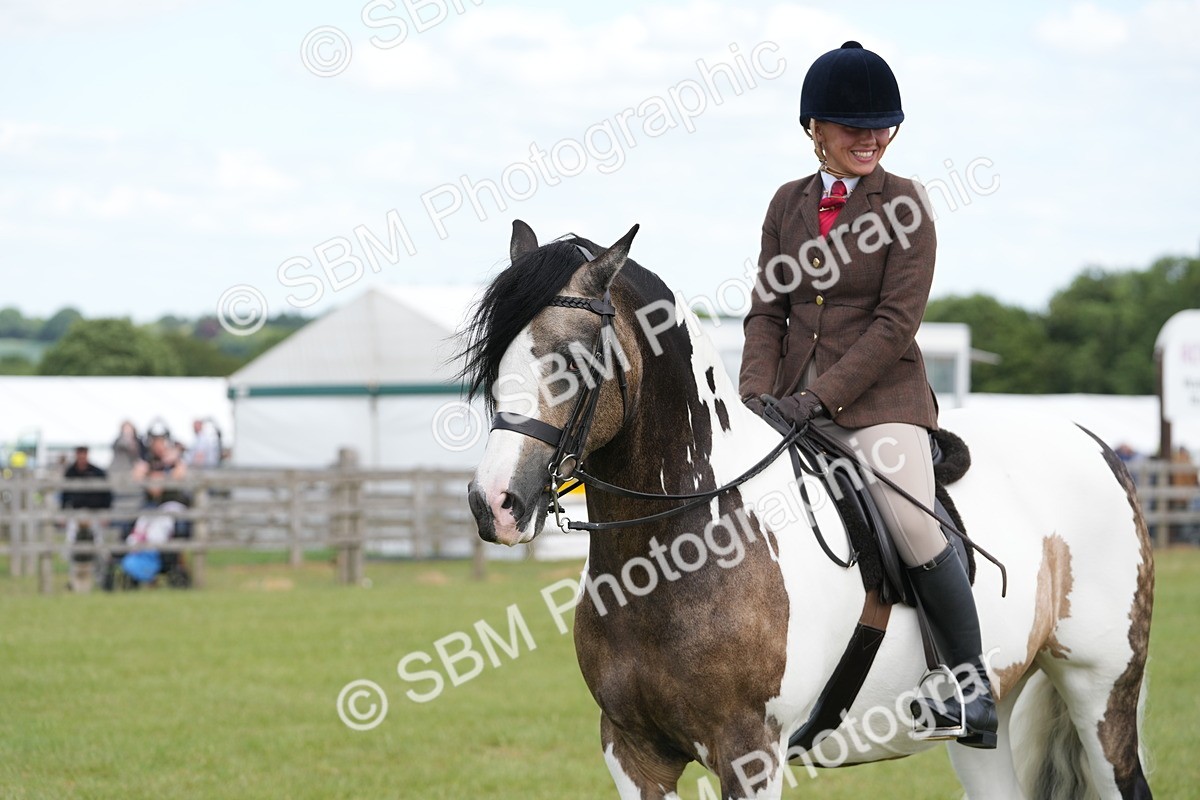 SBM_17214 - Class 107-108 - LIHS BSPS Performance Coloured Horse Pony