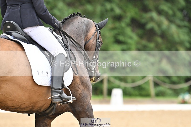 240811-110836-05104 - 113-Deborah.Randall-WillowX11