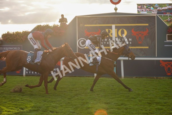 230923-Race 7-Two Brothers-5500 - Race 7 5.30pm Neil Atkinson's 60th Birthday Celebration Handicap