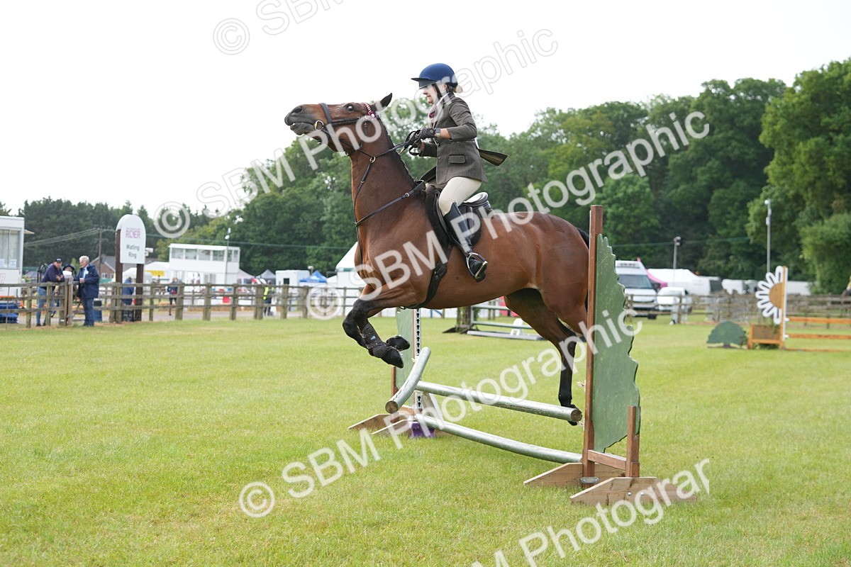 SBM_10461 - Class 97-98 - LIHS BSHA Rising Star Working Show Horse Hunter